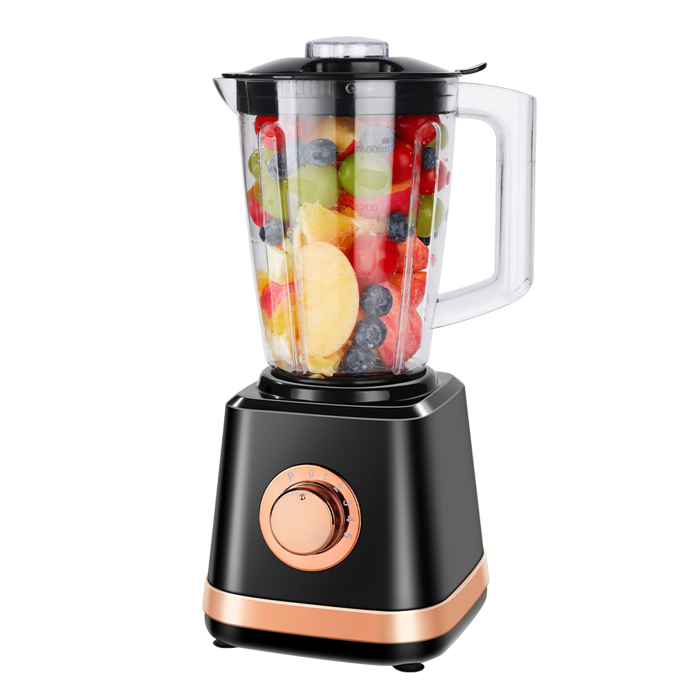 EU Standard RAF Portable Kitchen Machine Fruit and Vegetable Soy Milk Multi-Grain Coffee Bean Grinder Household Food Preparation Machine