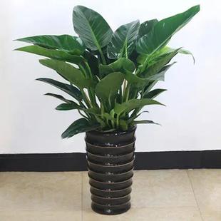 ���~����ļ��͏d�lؔ��Gֲ�����҃��k���һ��ܺ��B�m�������B