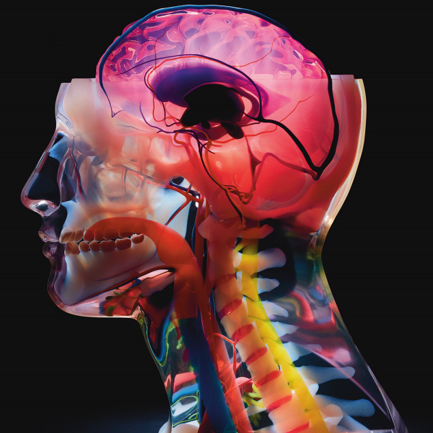 stratasys3D打印耗材，CONTACT医疗，生物相容性材料