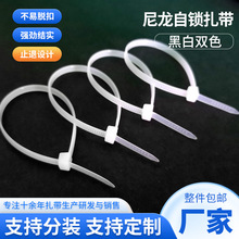 �p�x���iʽ��������8&times;500���������� �ڰ����l���z ������������