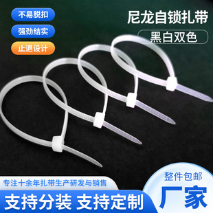 �p�x���iʽ��������8&times;500���������� �ڰ����l���z ������������