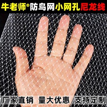 ���B�W���������B�õľW�������������י��Ҙ�W�֘��~���Bֳ�W