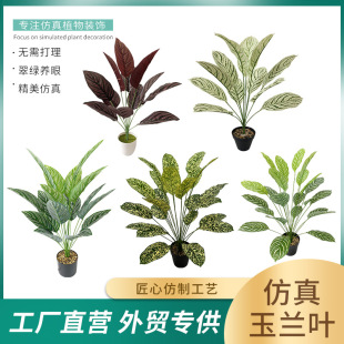 �����ֲ��Gֲ���Ա��W���m�~�ٻ��Ҿ��b[���辰�߷���