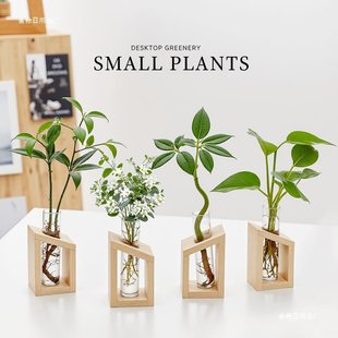 lؔˮֲ҃ȺBС;kGֲˮBСļ