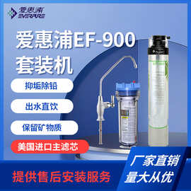 爱惠浦EF-900套装机净水器滤芯商用奶茶店通用家用过滤器熔喷滤芯