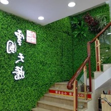 ˹ٲƤˮ䁉|҃ȾGֲ컨bƺ