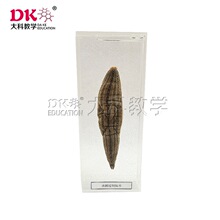J4117ˮ�Θ˱� ��С�W����̌W���� ģ��