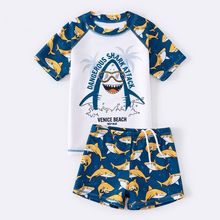 儿童泳衣男童防晒速干分体泳裤套装宝宝中大童小鲨鱼游泳衣潮款