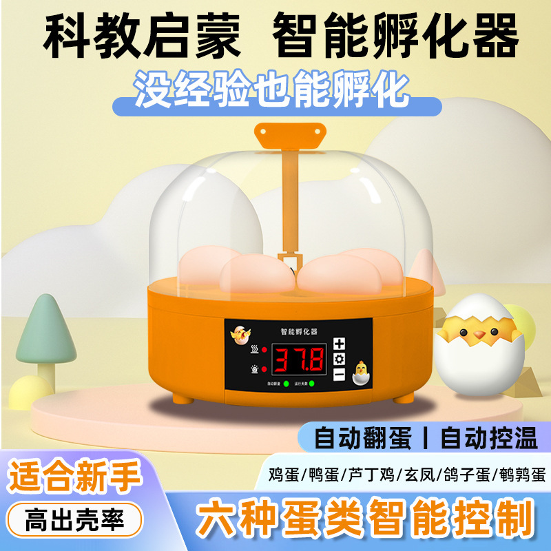 子供の卵はえ機はひよこのルチン鶏の孵化器の小型家庭用知能を孵化します。|undefined