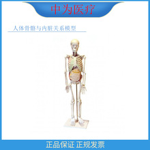 �О��t�� ����ȫ���Ǽ��@ʾ���K�Y�� ��85���w�����c���K�Pϵģ��