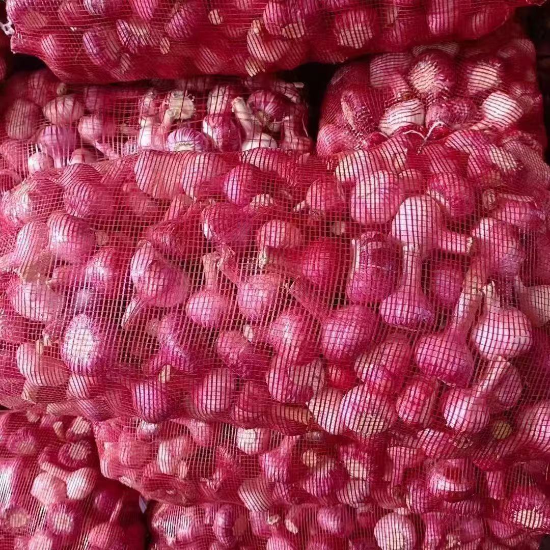 ll批发网袋装玉米大蒜洋葱网兜蔬菜加厚网眼包装鸡鸭土豆编织包装