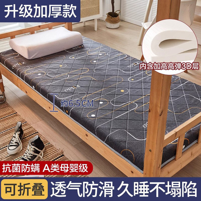 젠틀맨 [고탄력 3D 진드기방지] 6.5cm