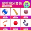 Teeth-resistant model (six-piece set)
