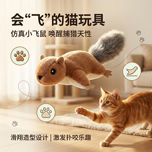 �����w��С����؈���푼�����ë�q��ż���˽␞��؈������Ʒ