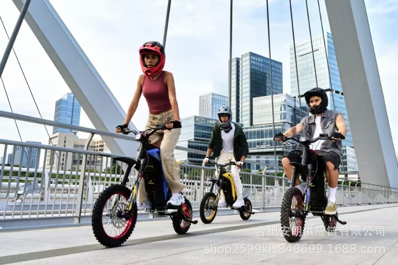 79Bike Titaone-S New Electric Off-Road Motorcycle Black Bee Rattlesnake 48V25Ah Track Vehicle