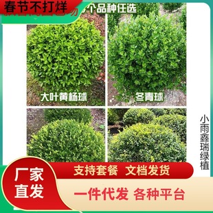 һ�����l���~�S�������ͥԺ�G������������С�~Ůؑ���ӽ�ɭ�@��