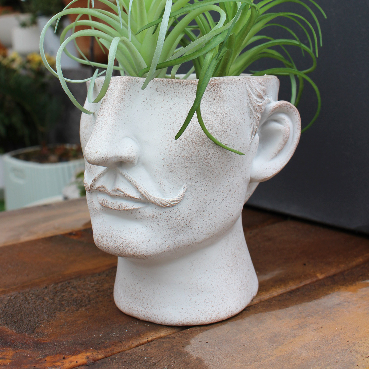 Creative portrait flowerpot resin flowerpot personality celebrity image decoration human head crafts green plant bouquet flower arranging device