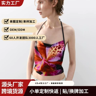 俄罗斯跨境爆款花边蕾丝长袖上衣女透视网纱修身辣妹氛围感打底衫