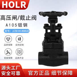 A105N锻钢承插焊Sw螺纹NpT高温高压闸阀截止阀Z/J1161H  800LB