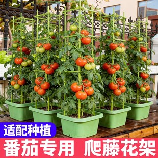 ���ټ����t�S�ϰ���䓹����ٗU����֧�ΗU�̨ͥԺ�¼����ܷ��Ѽ�