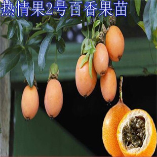 �����2̖���������ɏ�����������ζ���G����ֲ�����������