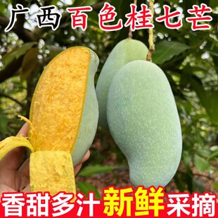 北海番薯网络科技有限公司
