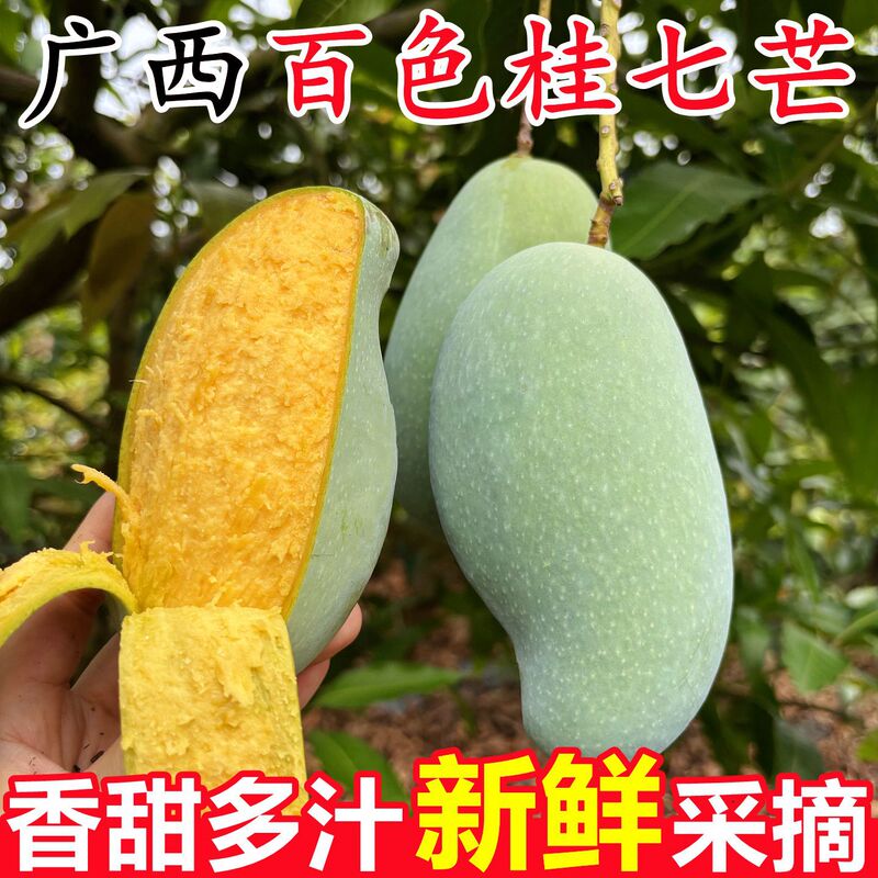 Authentic Guangxi Baise Guiqi Mango Fresh Large Fruit 5kg Seasonal Tropical Fruit for Pregnant Women Wholesale by the Box