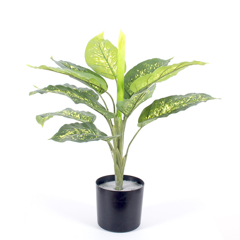 Simulación de paisajismo de interior Planta en maceta Evergreen Simulación de planta de follaje de interior Planta verde Evergreen con maceta image 12