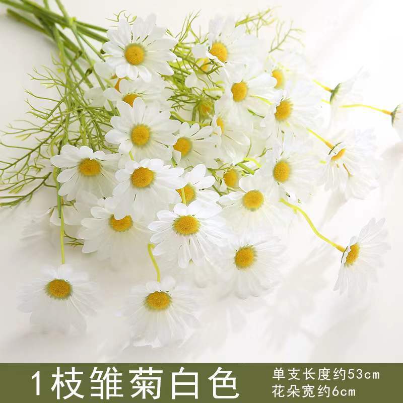 하얀색