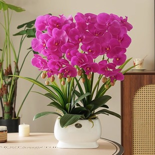 �p�ݺ����m��ˇ�[���͏d�����[�O���bٻ��[��