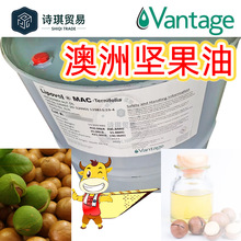 澳洲坚果油美国LipovolMACTernifolia澳洲胡桃油夏威夷果油火山豆