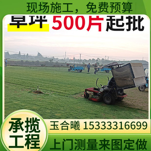 Kindergarten Rainbow Track Playground Artificial Grass Yuhe Xiping Artificial Simulation Fake Turf Source Factory