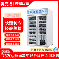 商用恒温恒湿柜胶片防潮柜文物字画芯片柜茶叶吉他药品柜保鲜冷藏