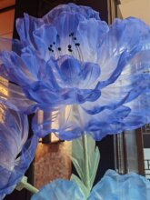 늄��_�ϾW�������Ӄxʽ�̈���ꐙ����b[����c��������