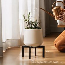 �����҃���ֲ�ﻨ���,�F��ֲ��֧�����ٻ���ֲ��ʵͶ�ֲ��֧��