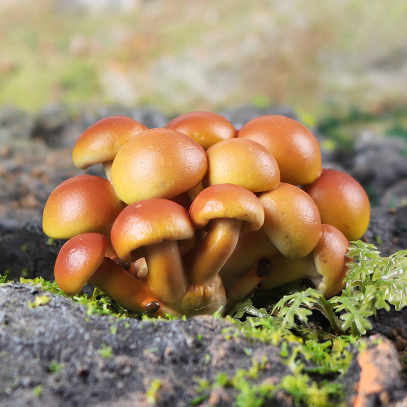Children's Pretend Play Realistic Food Model Shiitake Mushroom Kindergarten Food Display Piece Creative Toy Photography Prop Children's Pretend Play Realistic Food Model Shiitake Mushroom Kindergarten Food Display Piece Creative Toy Photography Prop