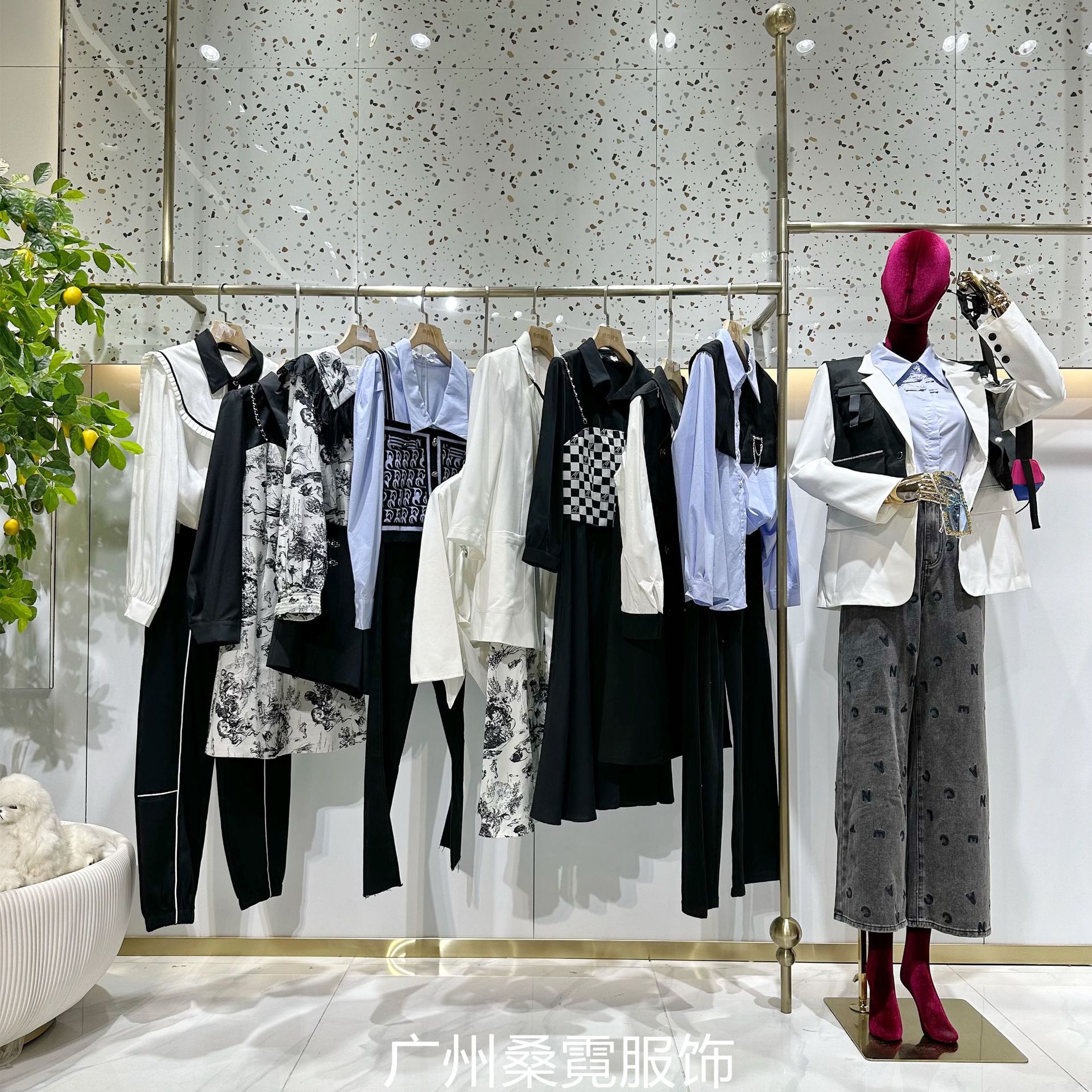 微信图片_20240112091420