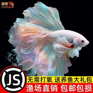̩�����~�^�p�~����~�Ꭷ���B�ͻ��wС���~�׵�ˮ������鼆�~