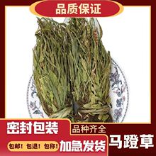 ��ș�� �R�Ų� �^��� ߀ꖲ� Сʯ�f �R�Ų� �R���� ֧��ș�z