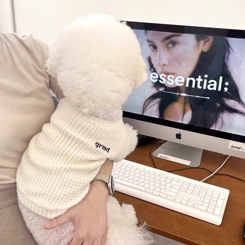 Perro coreano de otoño y invierno simple casual waffle tracción camiseta de base de dos patas Teddy gato ropa de perro