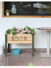 ��ľ������_��W�����Nֲ���sͥԺ���@�̨�N���L���λ���������