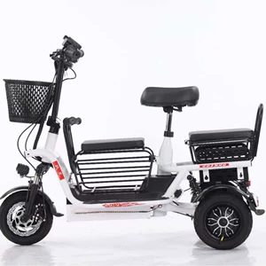 Lightweight Folding Electric Tricycle for Women with Kids E18