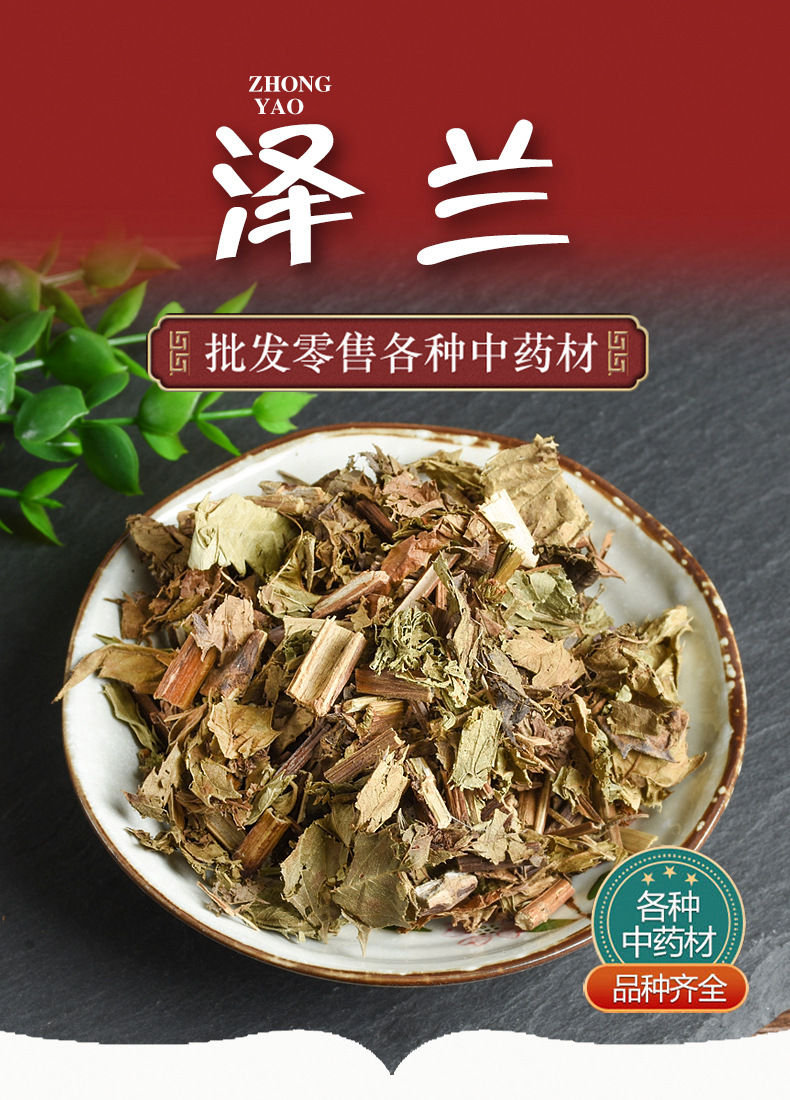 Ze Lan Herb (Lycopus lucidus) — Dried Chinese Herb for Decoction & Tea overview