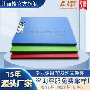 Pp Foam A4 File Folder Wholesale Information Book Strong Clip Office Supplies Stationery Storage File Plywood Student