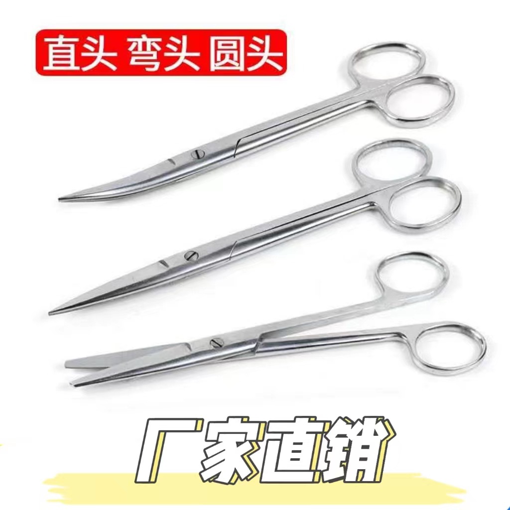 Stainless steel surgical scissors straight curved pointed eye surgical tissue scissors student training laboratory gauze wire removal scissors