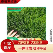 o·NӲݻmɽwѷNļͺͺo»첥