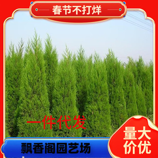 һ�����l�����ɰؘ���Ȱر�ؘ����ļ������������؈A�ؘ�������