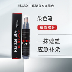 Cross-border disposable hair dye pen, plant re-dye stick, hair dye cream to cover white hair, one comb black temporary hair dye
