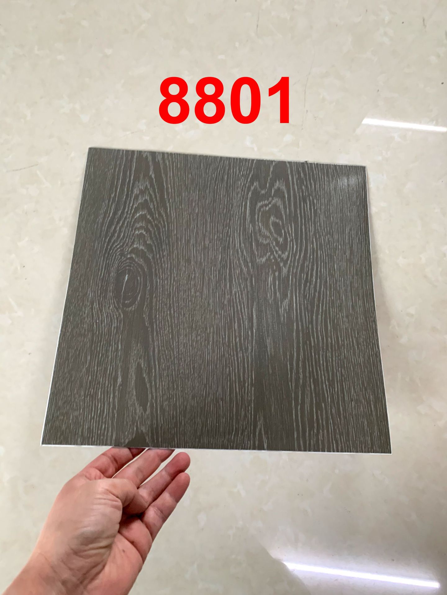 8801-3