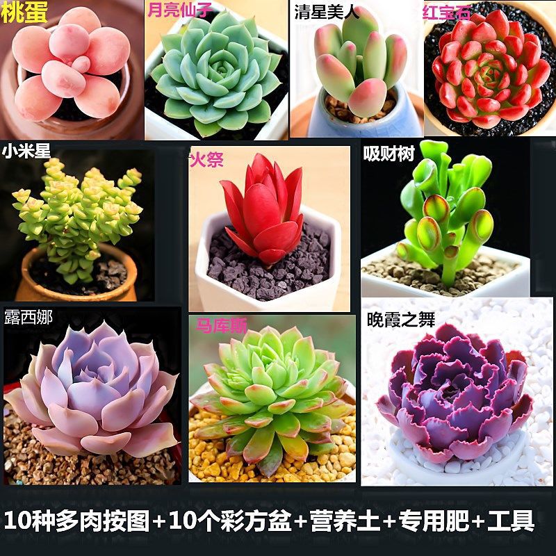 그림 A에 표시된 대로 10개의 패키지가 있습니다. 세면대가 포함된 패키지를 주문해야 합니다.